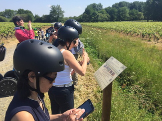 Activité cohésion de groupe à Nantes