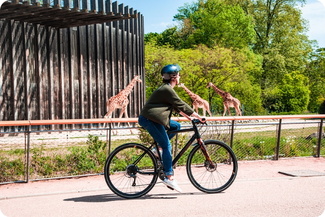 Louer un vélo tout chemin à Lyon