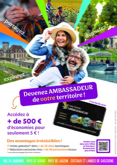 affiche-ambassadeur-Mobilboard