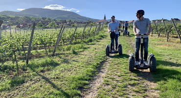 Alsace-vignoble-segway-heiligenstein