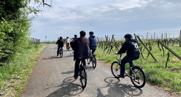 Teambuilding-activités-vélo electriques-alsace