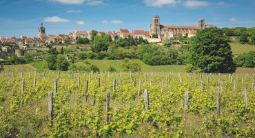 Activité découverte de Dijon avec guide