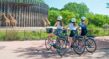 Visite guidée de Lyon à vélo électrique : le grand tour